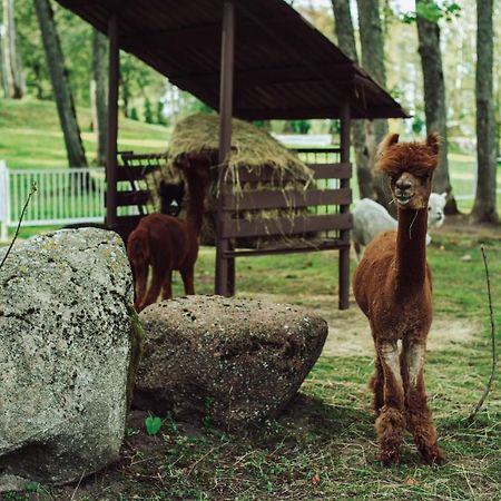Taujenu Dvaro Sveciu Namai Taujenai Екстер'єр фото